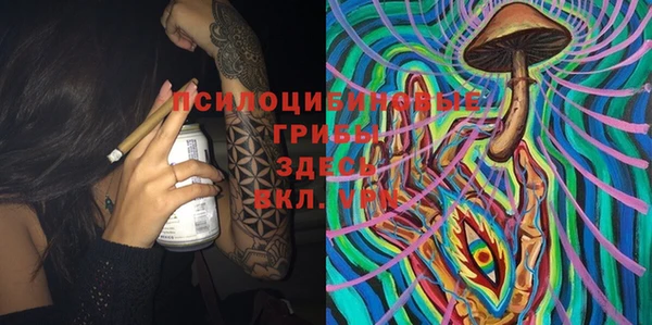 мдпв Горняк
