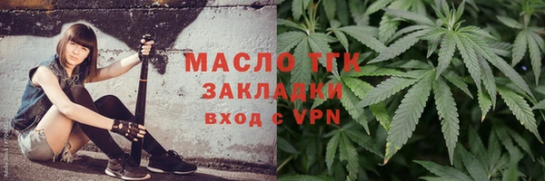 сатива Сосновка