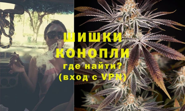 мдпв Горняк