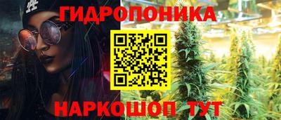 крисы Дубна