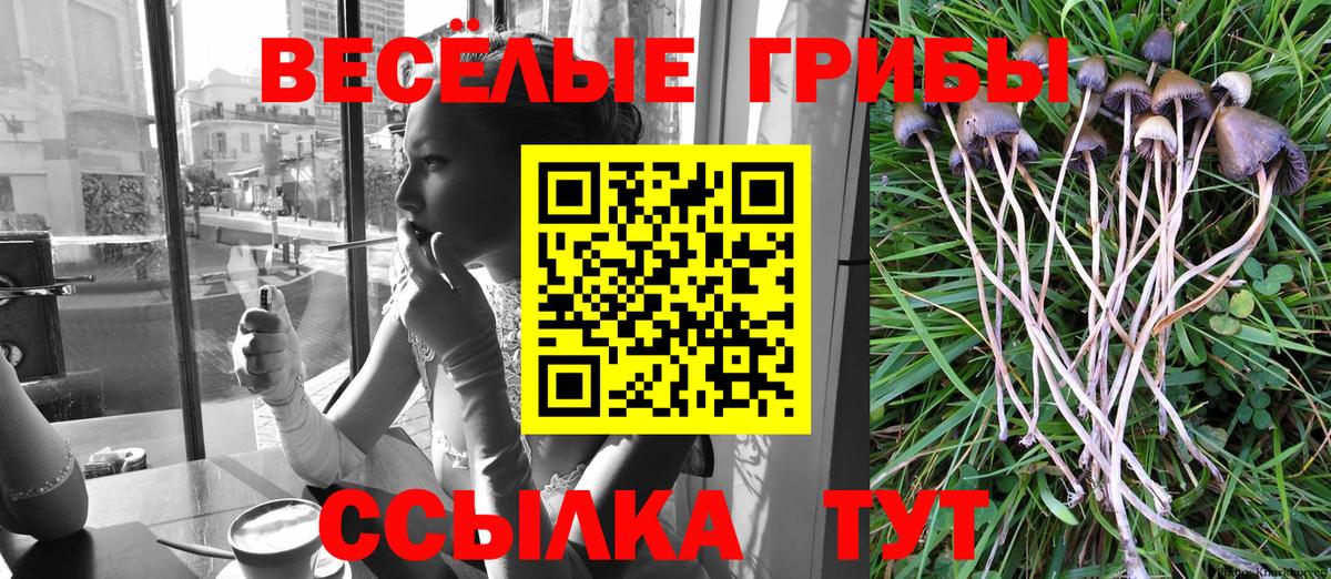 Галлюциногенные грибы ЛСД Добрянка