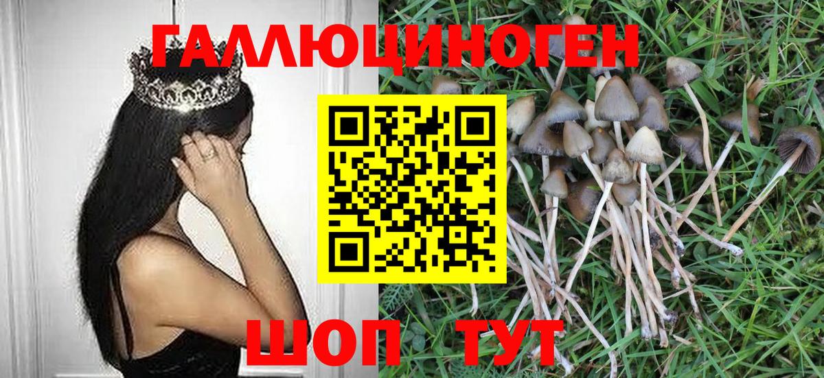 Псилоцибиновые грибы MAGIC MUSHROOMS  Добрянка  Галлюциногенные грибы мицелий 