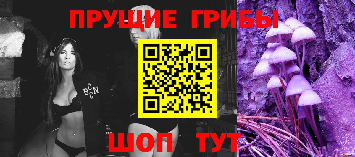 Добрянка  как найти   Вход с VPN  Галлюциногенные грибы Psilocybine cubensis 