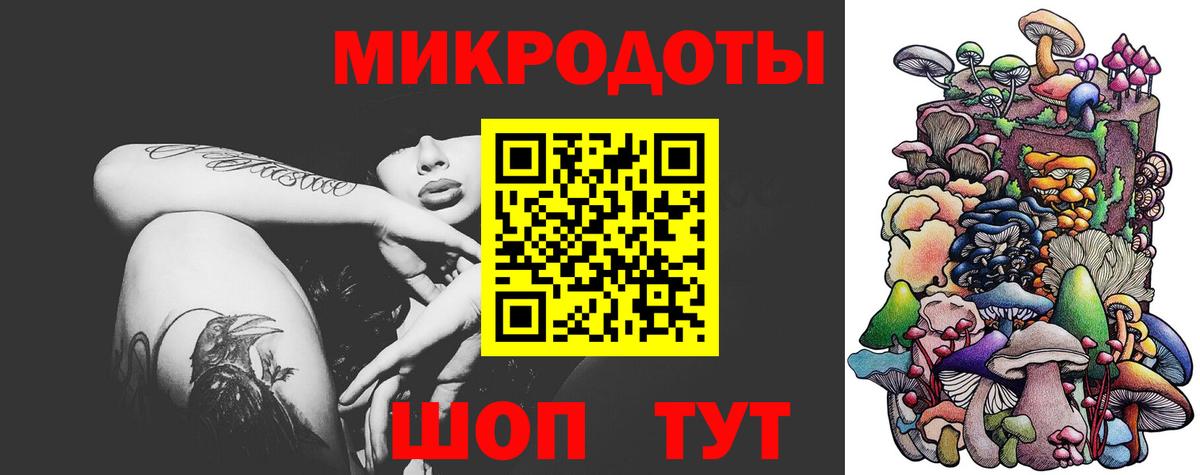 Псилоцибиновые грибы Cubensis Добрянка